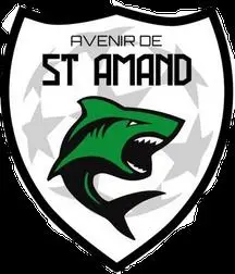 Logo AVENIR FOOTBALL DE SAINT AMAND LONGPRE