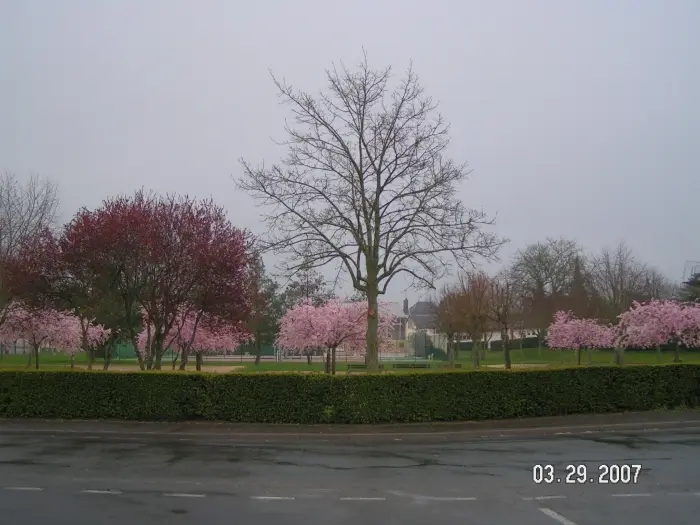 Un square
